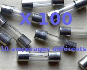 Lot de 100 fusibles verre 5X20mm temporiss(SB)